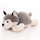 Cățeluș Husky din Pluș 50 cm