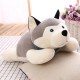 Cățeluș Husky din Pluș 50 cm